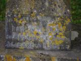 image of grave number 785380